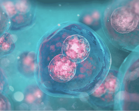 De nouvelles boissons avec des cannabinoïdes hydrosolubles