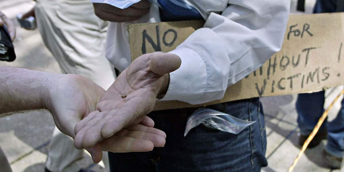 indisponibilité de graines légales pour une culture personnelle 1