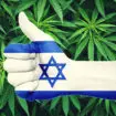 israël conduire sous cannabis avec licence médicale est permis 3