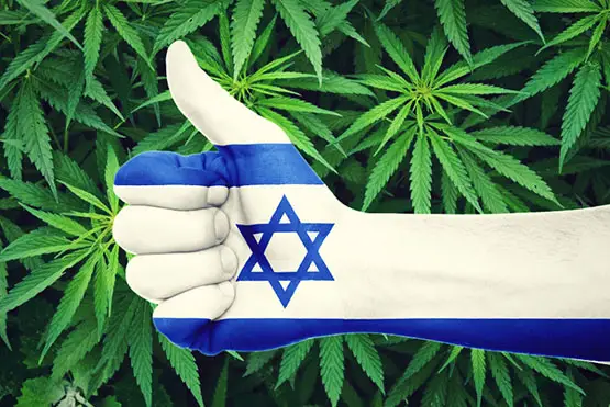 israël conduire sous cannabis avec licence médicale est permis 3