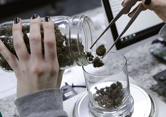 La Maison Blanche prépare une réforme fédérale