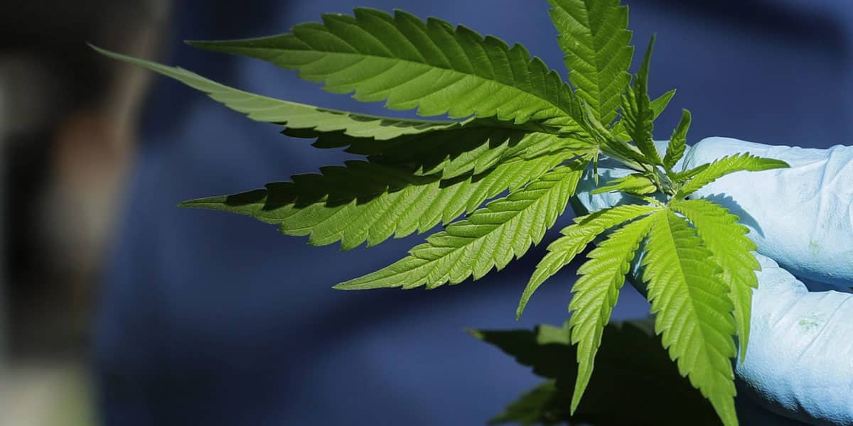 légalisation médicale pour l état du missouri et de l utah 5