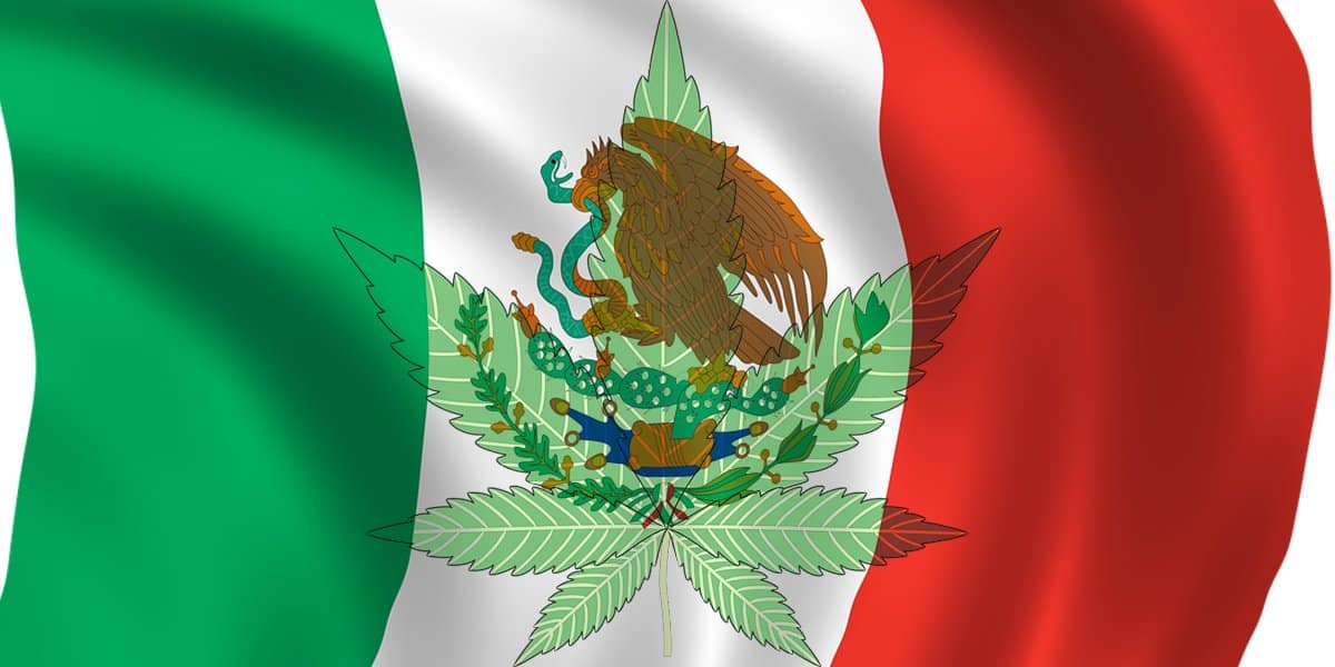 mexique la cour suprême annule la condamnation de consommateur de cannabis