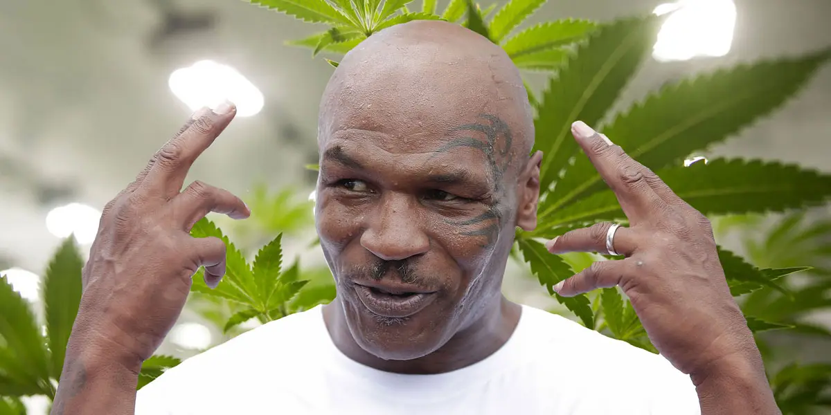 mike tyson vedette de sa propre série docu fictive