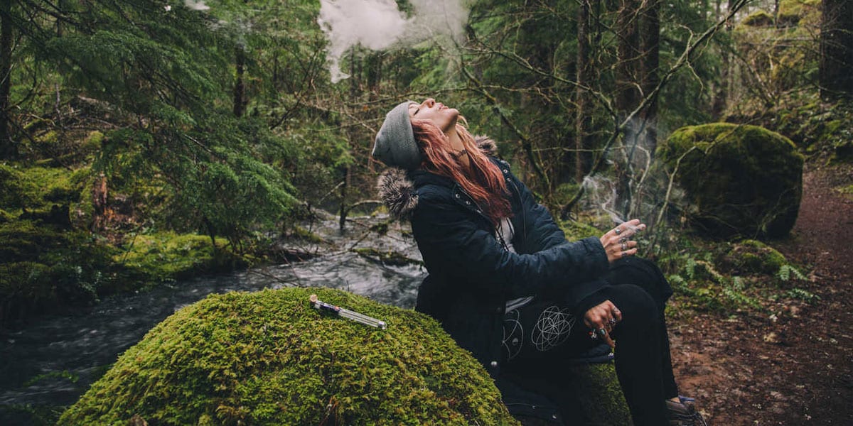 une offre d emploi pour voyager et fumer de l herbe