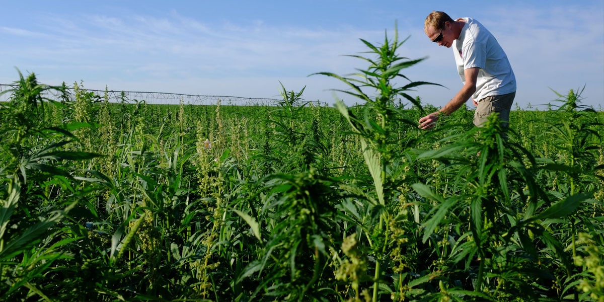 2ddddd22245dd45426014