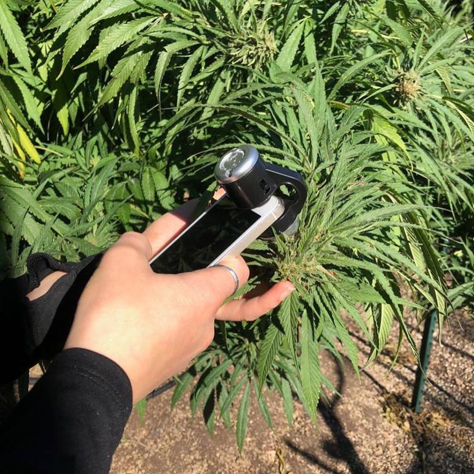 44208396 2715011585183038 749410383709601792 n