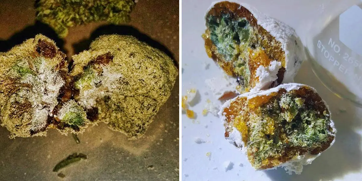 MoonRocks SunRocks