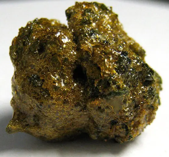 Sunrock infusé moonrock sunrock