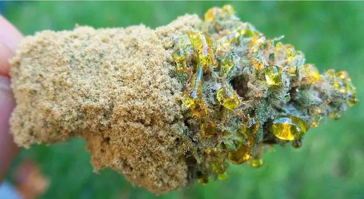Sunrock infusé moonrock sunrock