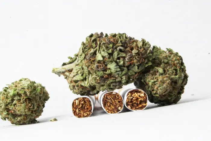 le fabricant de cigarettes altria semble sur le point d entrer sur le marché du cannabis 1