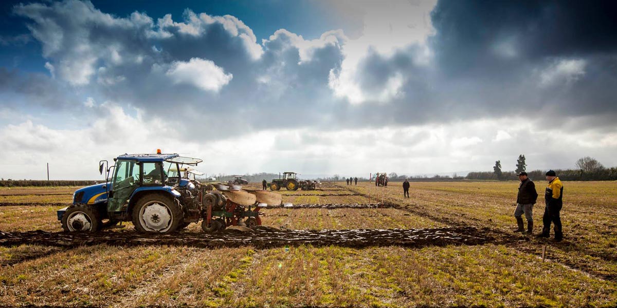 Irlande agriculteur cannabis médical