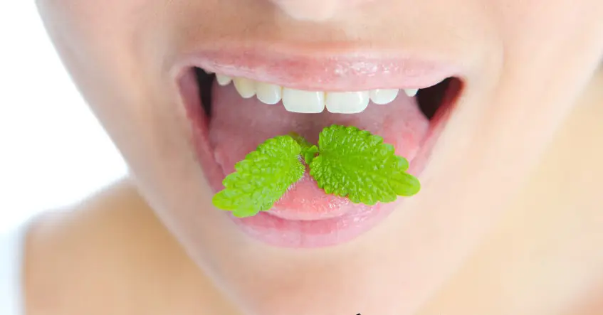 cannabis patch mucco adhesif