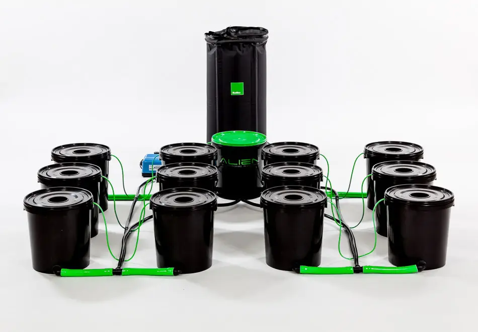 dwc 2 eau profonde