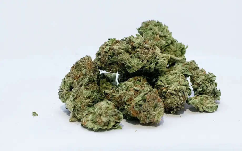thc puissance cannabis base