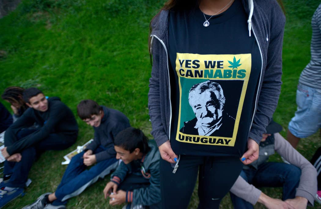 yes oui cannabis uruguay