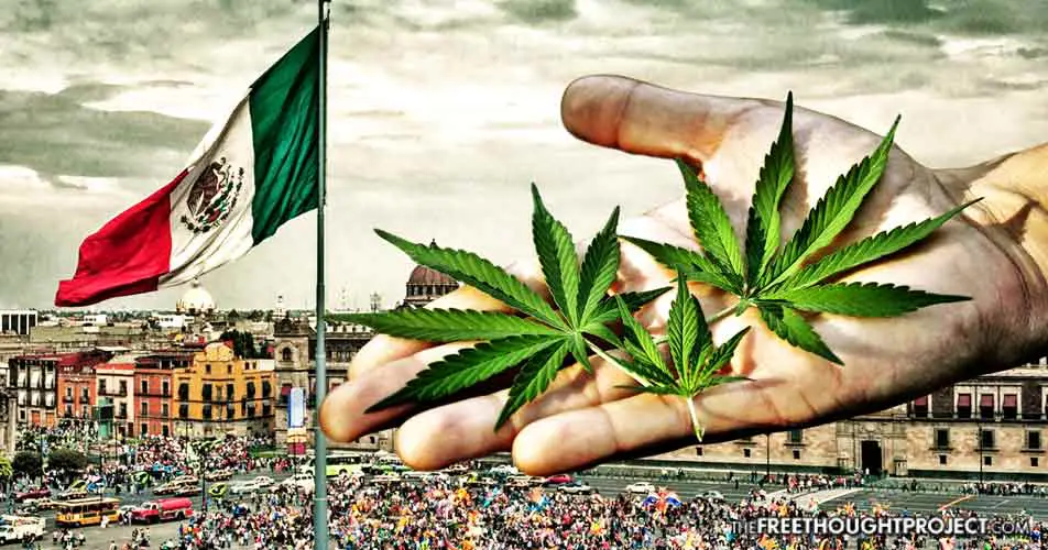 Cannabis Legalization in Mexico