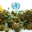 OMS canna reclassification
