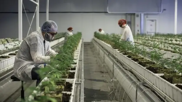 aurora inc aurora inc