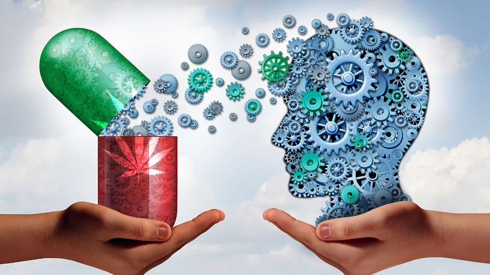 cannabis for bipolar disorder