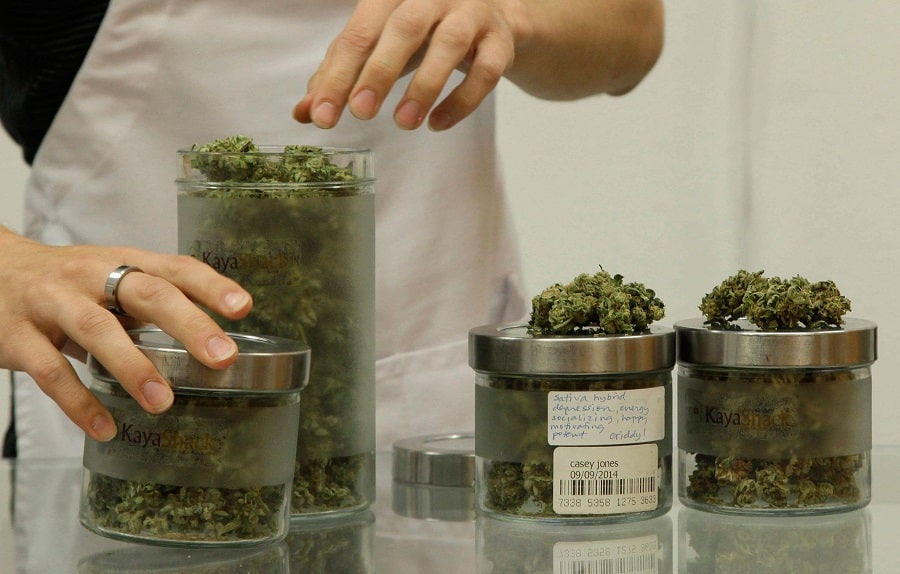 consommer de l’herbe médicale