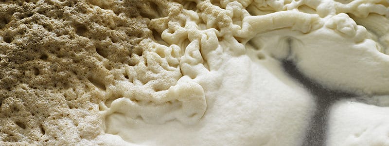 levure de bierre transformation