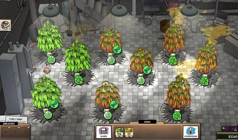 weedcraft inc