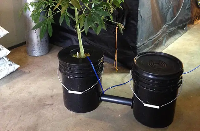 bucketsHED eau profonde