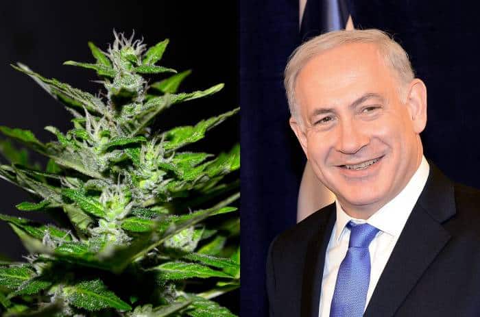 cannabis israel netanyahu