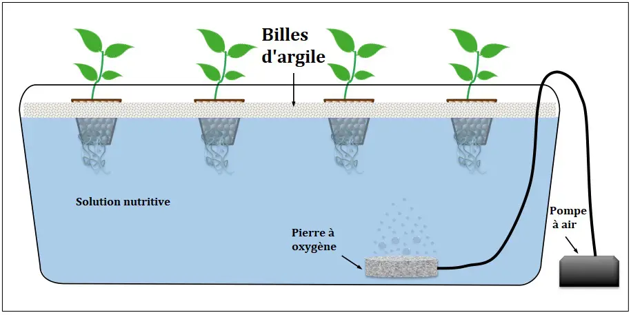dwc systeme eau profonde