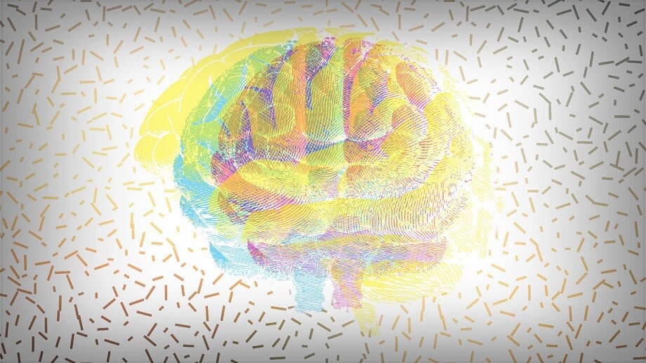 endocannaboid ratio 1 1