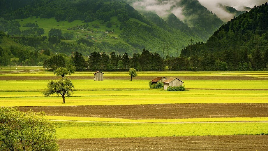 suisse paysage