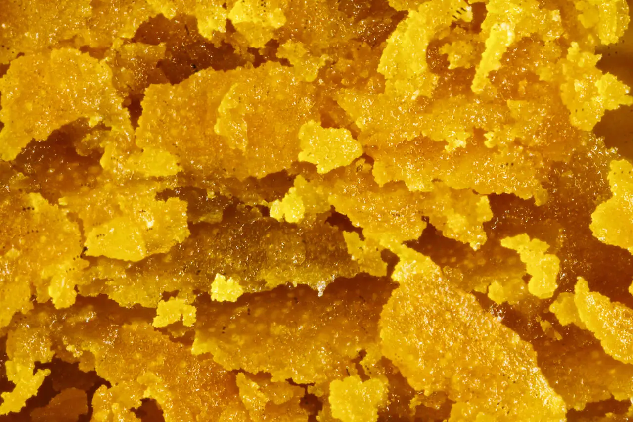 wax 2