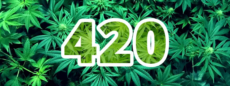 420 Mean in Cannabis Culture