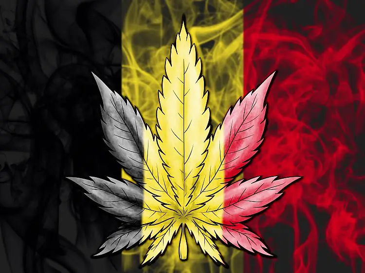 Cannabis leaf on a smoke background with the flag of Belgium overlaying