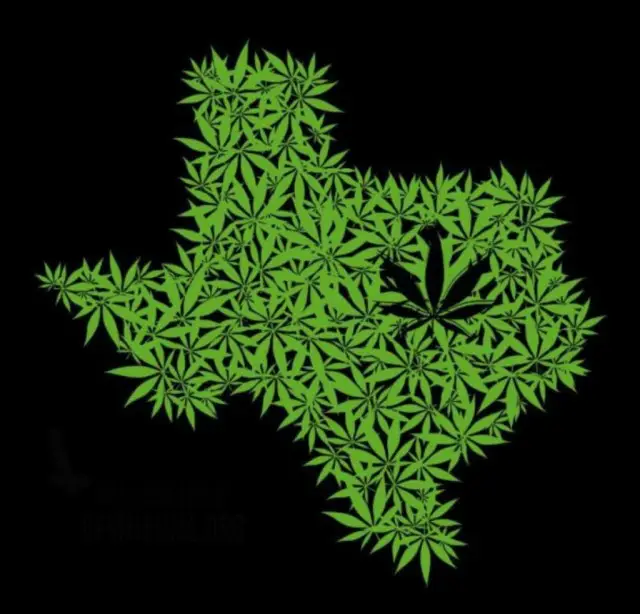 Texas Decriminalization projet loi