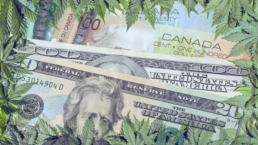 canada canabis cher 1