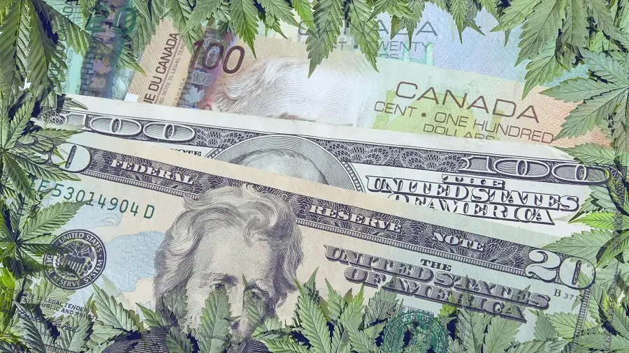 canada canabis cher 1