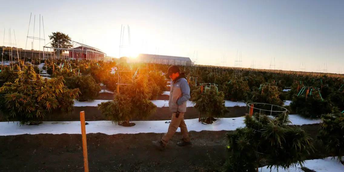 colorado farm