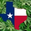 texas decriminalisation
