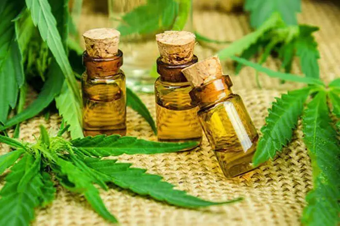 CBD autoriser afrique du sud