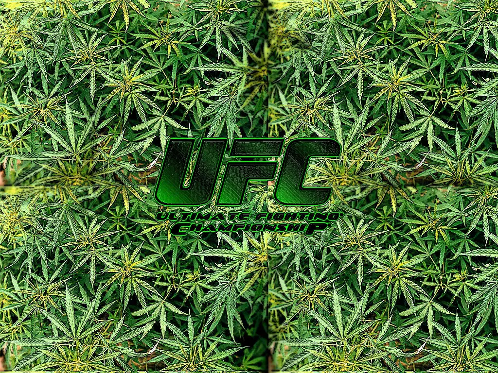 UFCLogo2