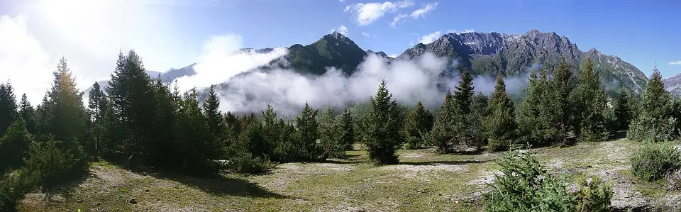 chinese tibet cannabis