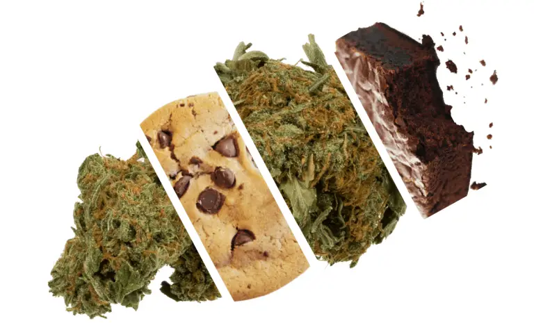 utilisent cannabis