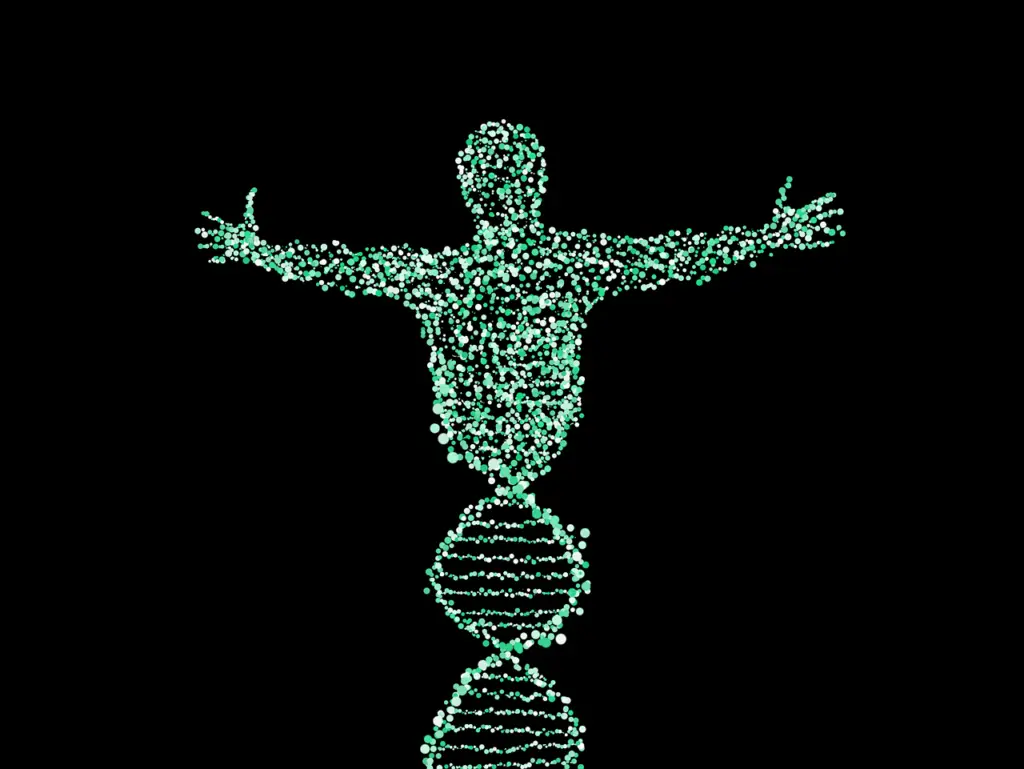 man ADN cannabinoides terpenoides