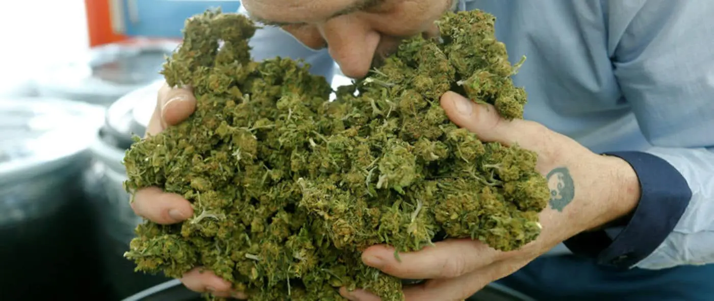 marijuana light