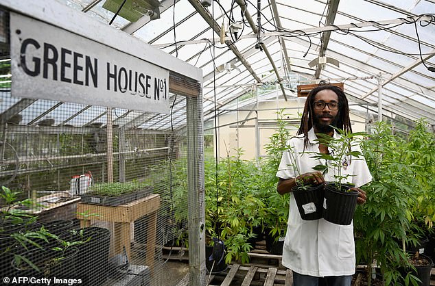 dr emanuel avec des plant