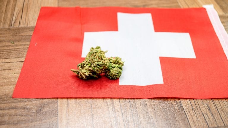 suisse cannabis