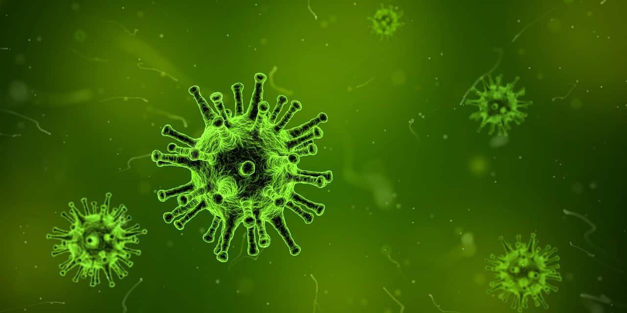 virus superbacterie