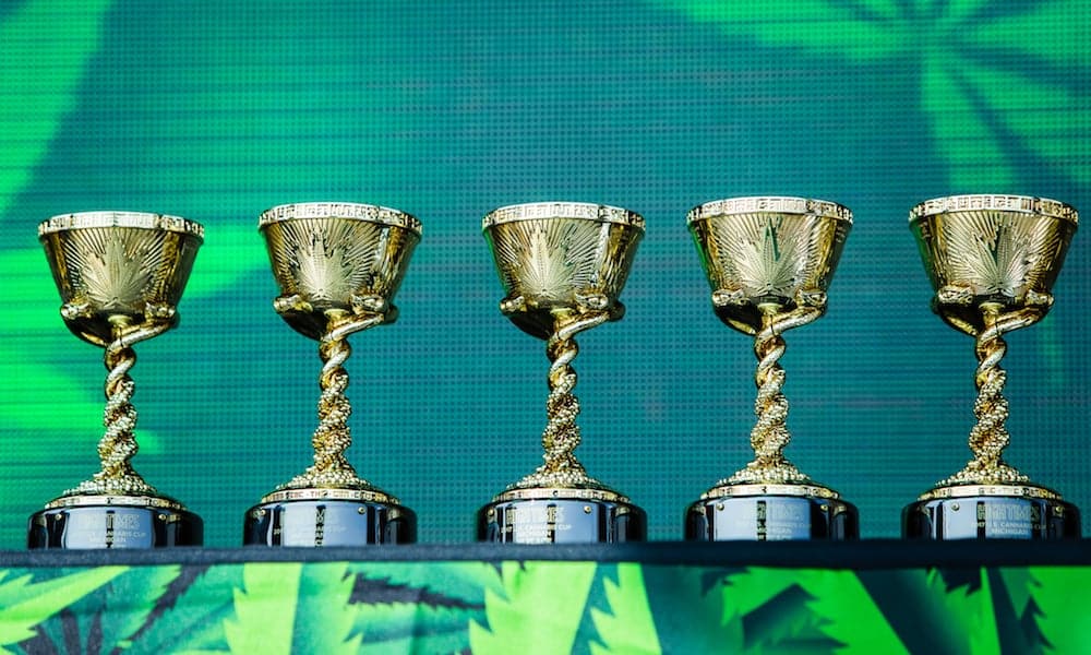 winners first alaska cannabis cup featured